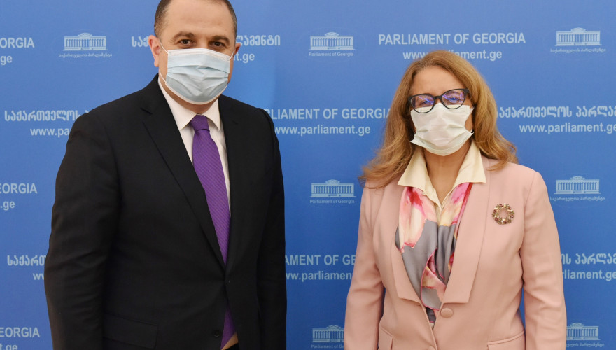 The meeting of Irakli Chikovani with the Ambassador of Turkey