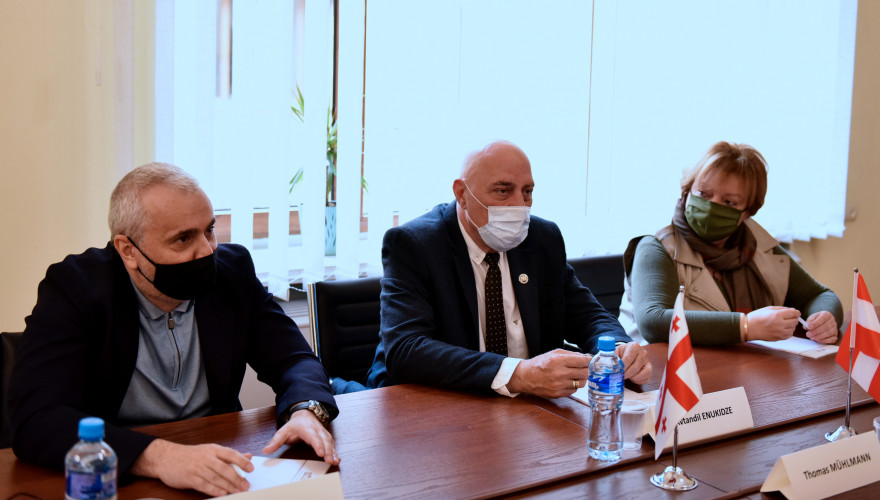 ავთანდილ ენუქიძე საქართველოში ავსტრიის რესპუბლიკის ელჩს, თომას მიულმანს შეხვდა