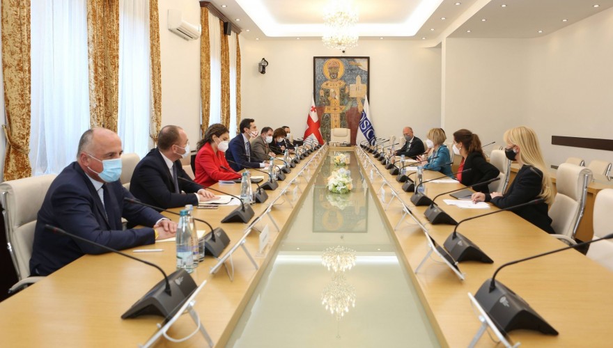 კახა კუჭავა ეუთოს გენერალურ მდივანს შეხვდა