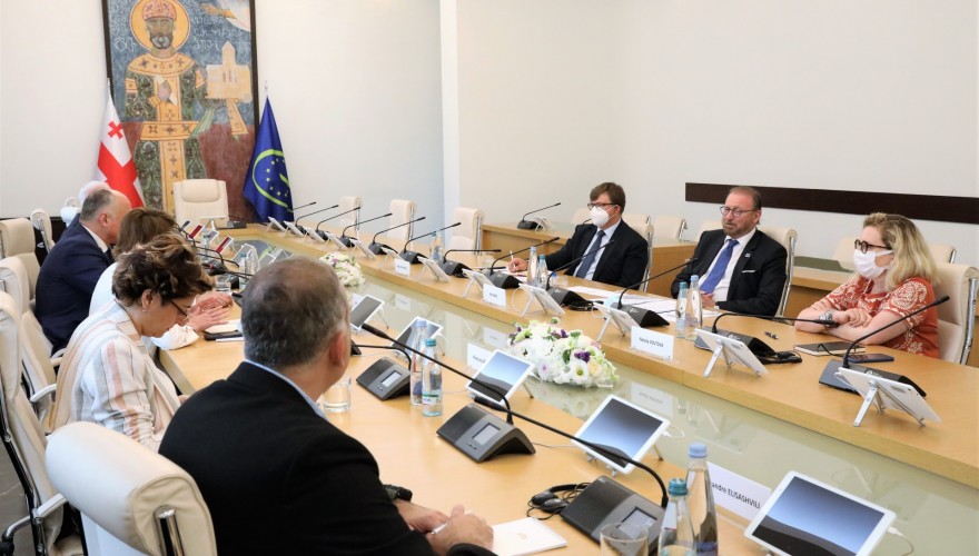 ევროპის საბჭოს საპარლამენტო ასამბლეის პრეზიდენტი საპარლამენტო ოპოზიციის წარმომადგენლებს შეხვდა