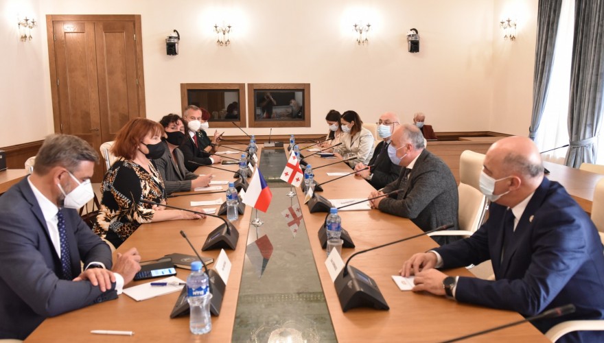 დიმიტრი ხუნდაძე ჩეხეთის რესპუბლიკის პარლამენტის სენატის დელეგაციას შეხვდა