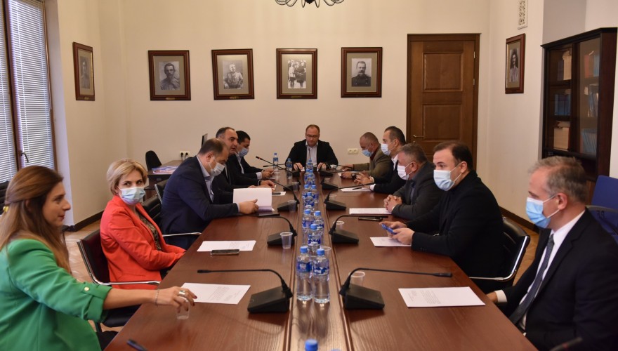 Sitting Of Defense And Security Committee Parliament Of Georgia