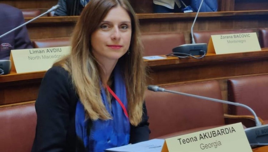 Teona Akubardia Attending 101st NATO PA Rose-Roth Seminar