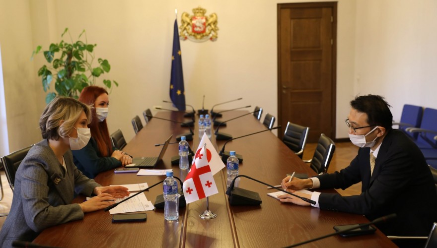 Meeting of Nino Tsilosani with Ambassador Extraordinary and Plenipotentiary of Japan