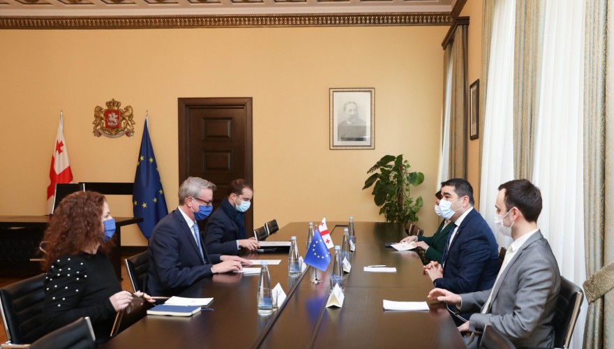 The meeting of the Speaker with the EU Ambassador