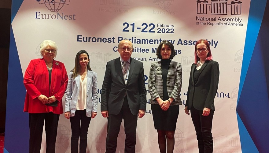 Maka Botchorishvili participated in the EuroNest PA Bureau sitting