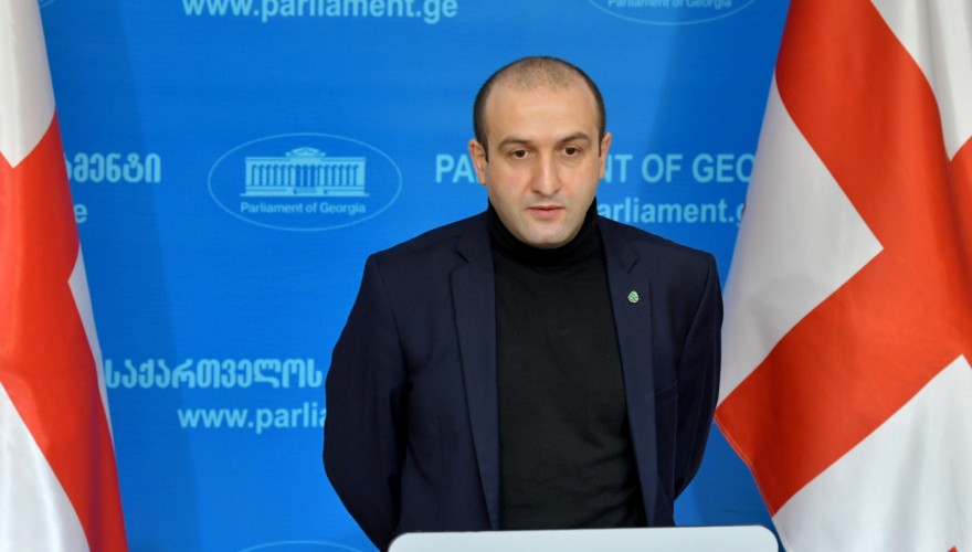 Parliamentary Political Group Girchi Registering Bill on Weapons