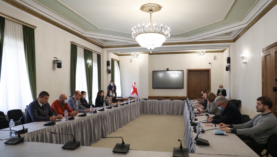 ანა ნაცვლიშვილი: ვისთვისაც ძვირფასი და ღირებულია საქართველოს ევროპული პერსპექტივა ჩვენ მზად ვართ ყველასთან ფართო თანამშრომლობისთვის
