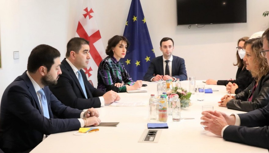 შალვა პაპუაშვილი სოციალისტებისა და დემოკრატების პროგრესული ალიანსის ჯგუფის პრეზიდენტს შეხვდა