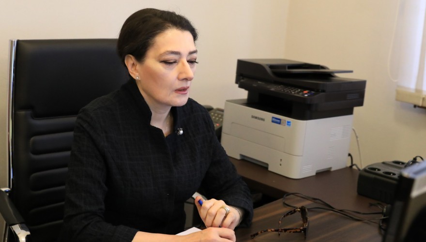 Online meeting of Tamar Charkviani with the MEP Andrius Kubilius
