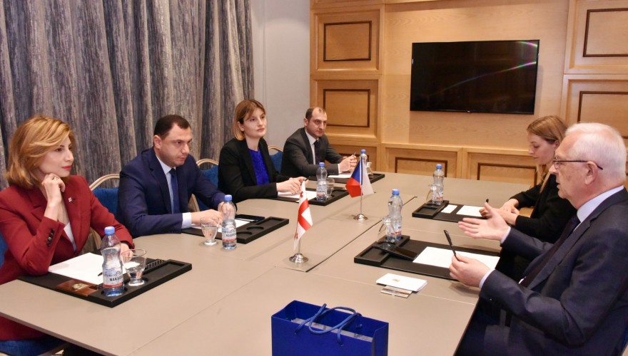 გიორგი ამილახვარი, თამარ ტალიაშვილი და ხათუნა კვიციანი ჩეხ კოლეგას ირჟი დრაჰოშს შეხვდნენ