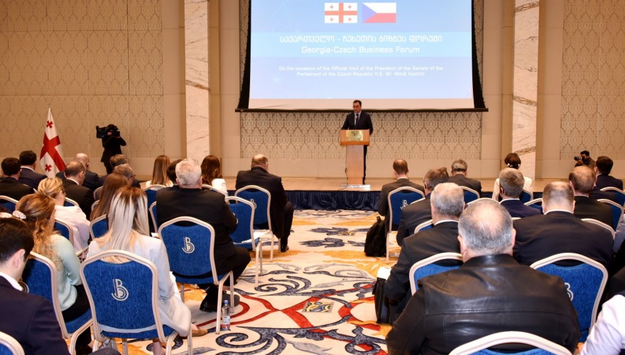 დავით სონღულაშვილი: მაქსიმალურად უნდა ავითვისოთ ის პოტენციალი, რაც ქართულ-ჩეხურ ურთიერთობებს გააჩნია ეკონომიკის მიმართულებით