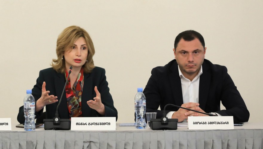 Tamar Taliashvili: It is critical that all students have access to all educational resources