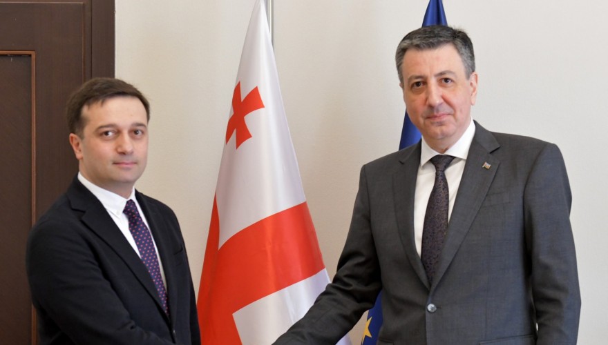 Meeting of Levan Ioseliani with the Ambassador of Azerbaijan