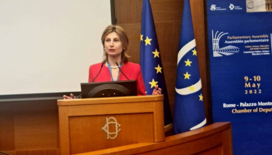 PACE Committee hearing Resolution on  “YOUTH AND MEDIA” by Tamar Taliashvili