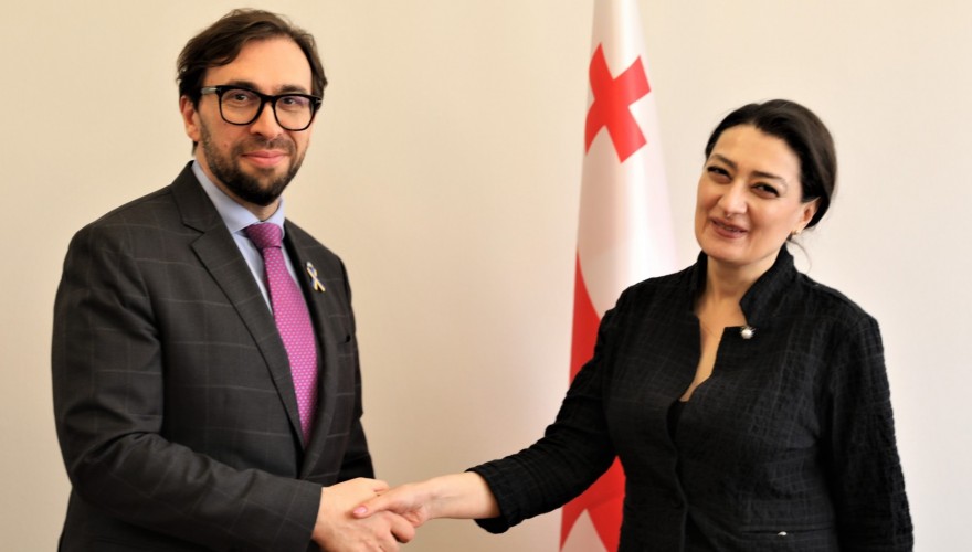 თამარ ჩარკვიანი ნატოს სამოკავშირეო ოფისის ხელმძღვანელს ალექსანდრე ვინიკოვს შეხვდა