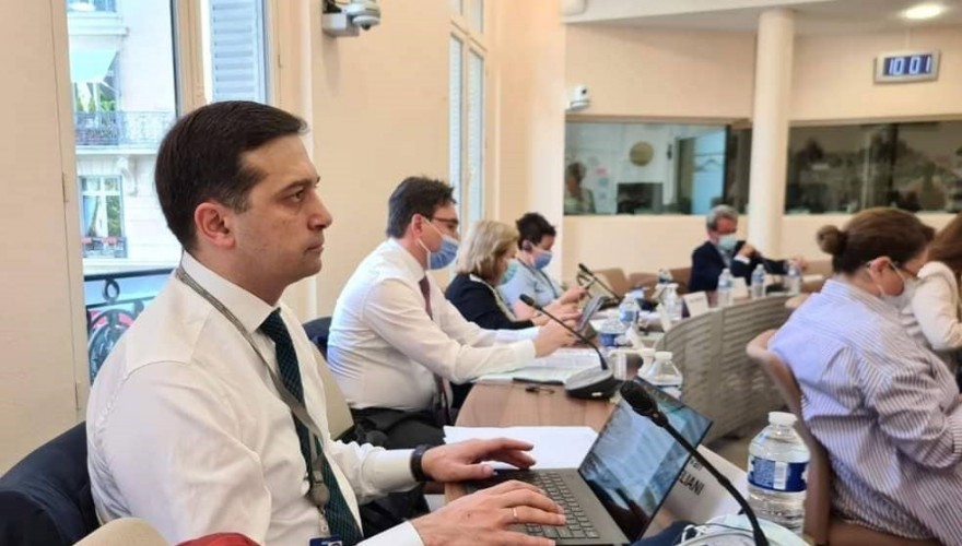 Levan Ioseliani participating in the sitting of the PACE Committee on Social Affairs, Health and Sustainable Development
