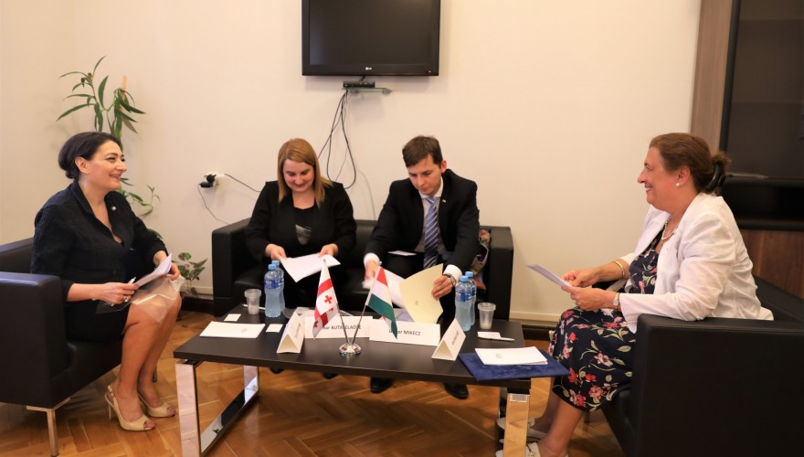 თამარ ჩარკვიანი უნგრეთის ელჩს შეხვდა