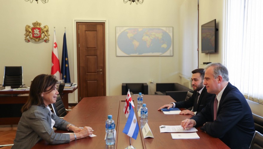 გიორგი ხელაშვილი არგენტინის რესპუბლიკის საგანგებო და სრულუფლებიან ელჩს შეხვდა