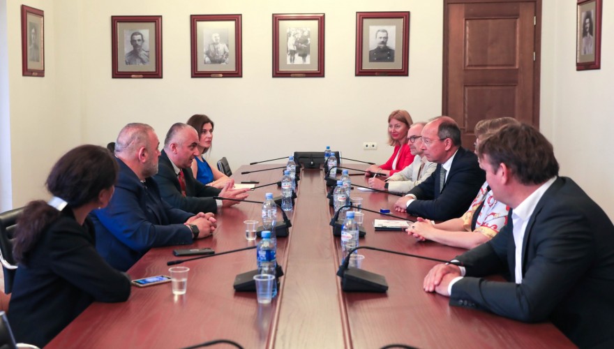 ვლადიმერ ჩაჩიბაია ნიდერლანდების ვეტერანთა ინსტიტუტის დელეგაციას შეხვდა