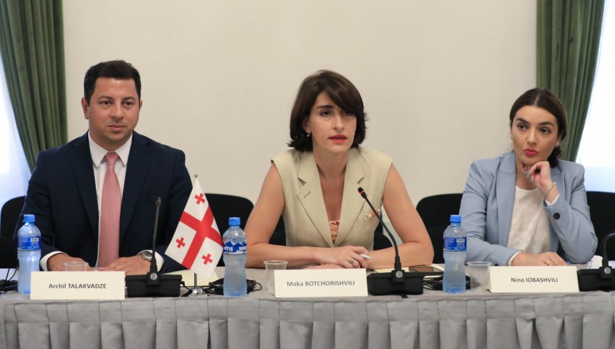 მაკა ბოჭორიშვილი და ევროპასთან ინტეგრაციის კომიტეტის წევრები ევროპარლამენტის საგარეო საქმეთა კომიტეტის დელეგაციას შეხვდნენ