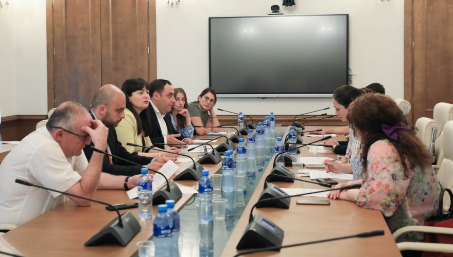 საპარლამენტო ოპოზიცია საარჩევნო საკითხებთან დაკავშირებით არასამთავრობო ორგანიზაციების წარმომადგენლებს შეხვდა