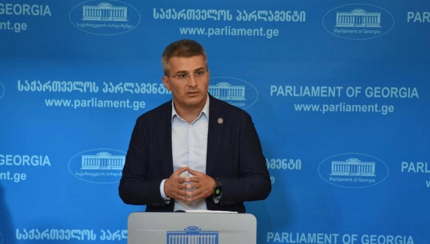 მამუკა მდინარაძე: საპარლამენტო უმრავლესობა სახალხო დამცველის კანდიდატურას არ წარადგენს