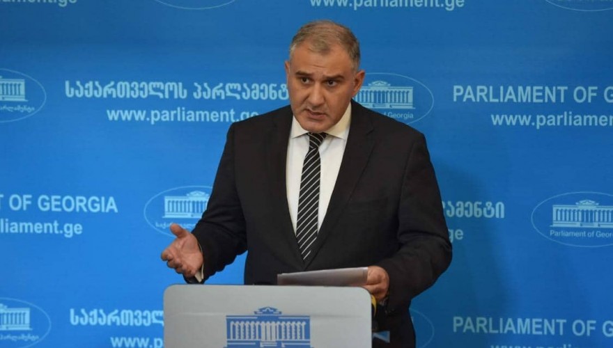მიხეილ სარჯველაძე: მთავარი მიზანია სახალხო დამცველის ლეგიტიმური და სამართლიანი კრიტერიუმების მიხედვით არჩევა, რასაც ჩვენი გეგმა სრულად აზღვევს და უზრუნველყოფს