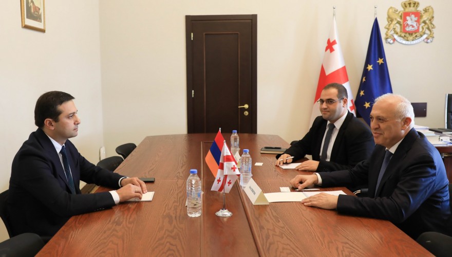 Meeting of Levan Ioseliani with the Ambassador of Armenia