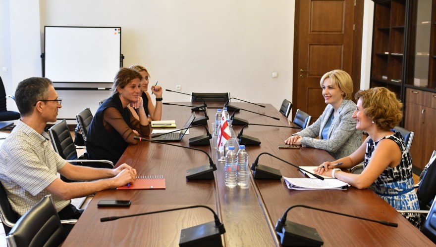 ეკა სეფაშვილი მომხმარებელთა უფლებების დაცვის საკითხებზე მომუშავე სამოქალაქო საზოგადოების წევრებს შეხვდა