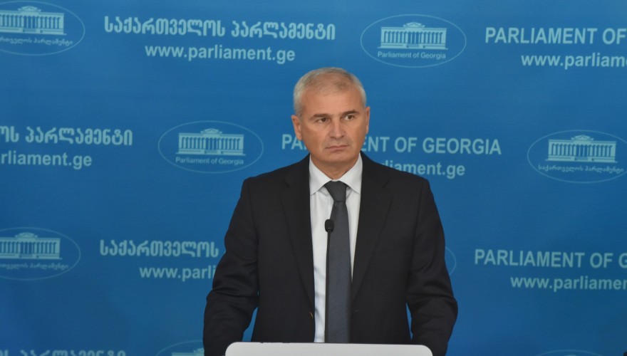 ირაკლი ქადაგიშვილი: საპარლამენტო კონტროლის კუთხით, პარლამენტს საკმაოდ მძლავრი და თანამედროვე ბერკეტები გააჩნია