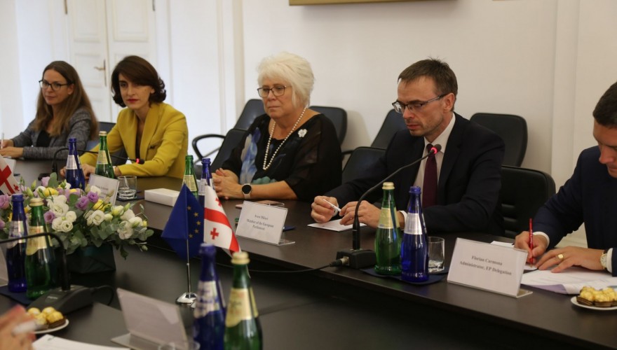 ევროპასთან ინტეგრაციის კომიტეტის თავმჯდომარემ და ევროპარლამენტარებმა საქართველოს საკონსტიტუციო სასამართლოში შეხვედრა გამართეს