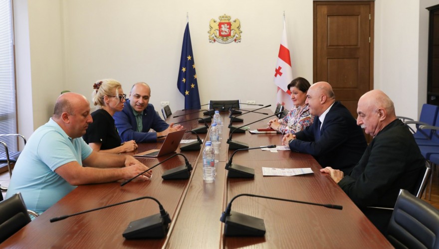 Meeting of Zaza Lominadze and Vladimer Kakhadze with Program Manager of USA Organization "Tobacco-Free Kids"