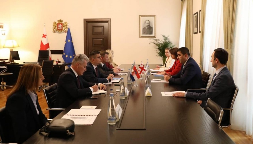 შალვა პაპუაშვილი ხორვატიის რესპუბლიკის პარლამენტის ევროპულ საქმეთა კომიტეტის წევრებს შეხვდა