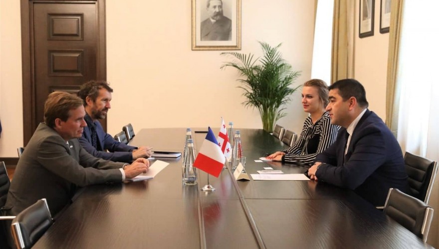 შალვა პაპუაშვილი საფრანგეთის რესპუბლიკის ელჩს შეხვდა