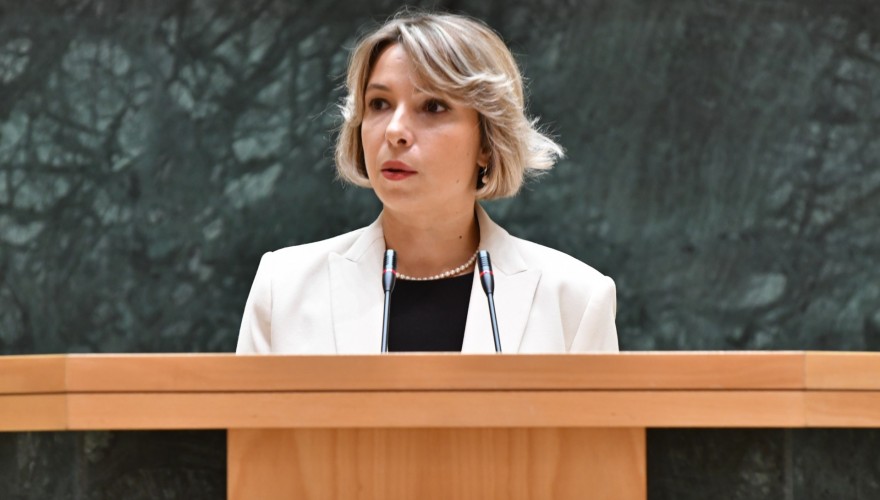 The Parliament heard the Report of the Public Defender