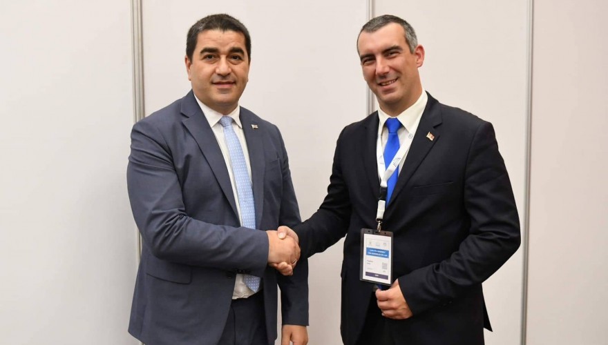 Meeting of Shalva Papuashvili with the Speaker of the National Assembly of Serbia