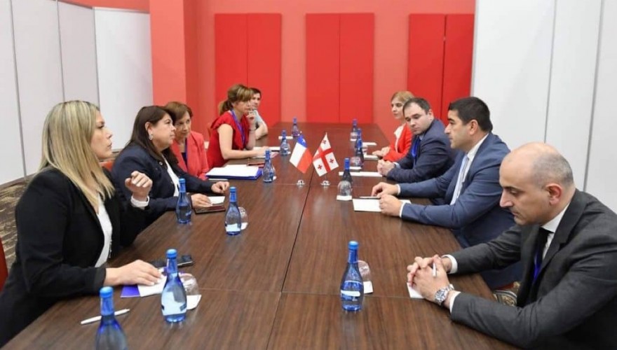 Meeting of Shalva Papuashvili with the Vice-President of the Chamber of Deputies of Chile