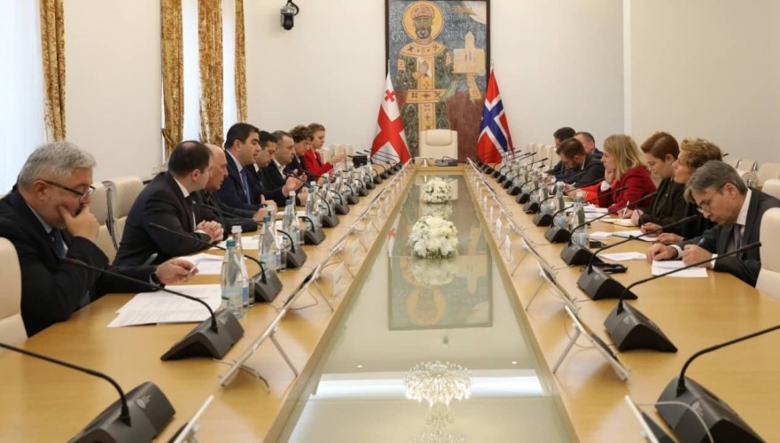 Meeting of Shalva Papuashvili with the Minister of Foreign Affairs of Norway