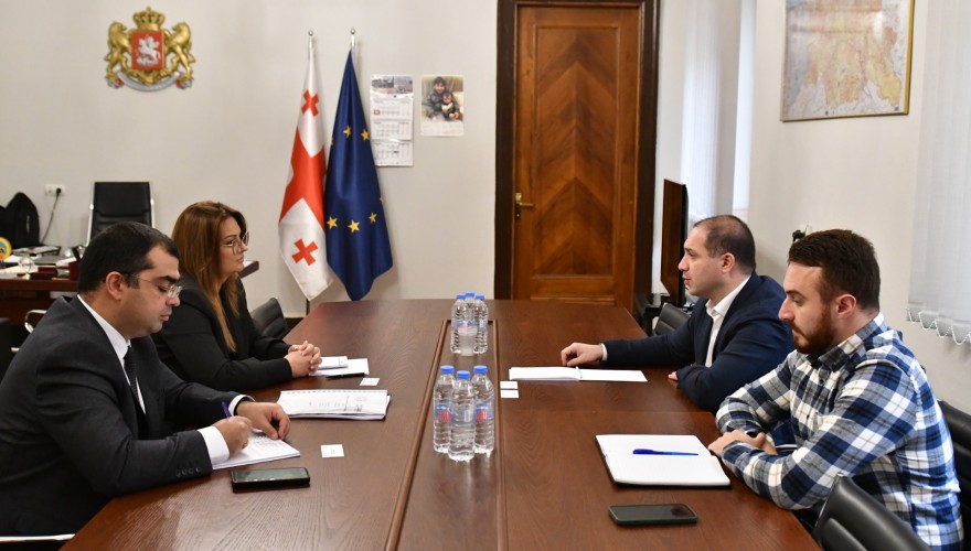 გივი მიქანაძე საარჩევნო სისტემათა საერთაშორისო ფონდის წარმომადგენლებს შეხვდა