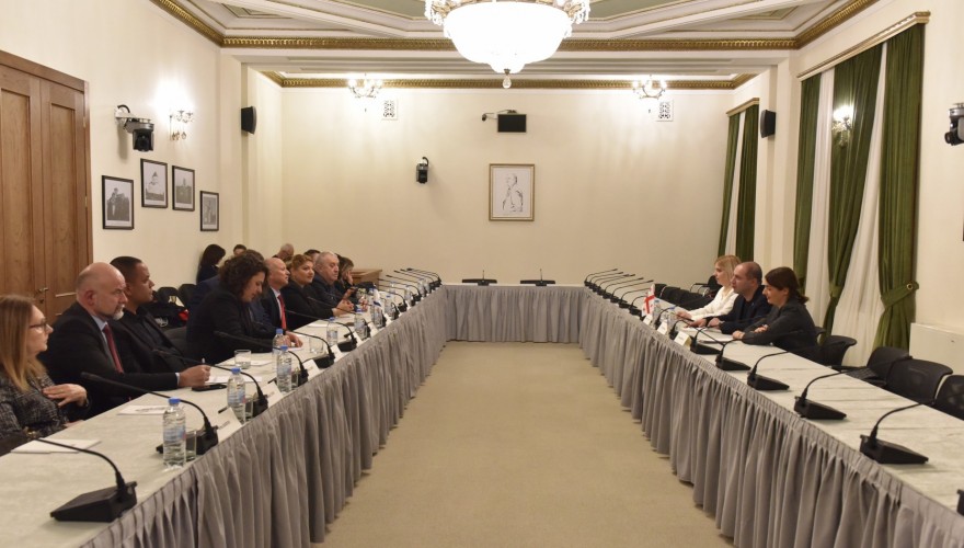Meeting of the Georgia-Israel Parliamentary Friendship Group with the Delegation of the City of Afula