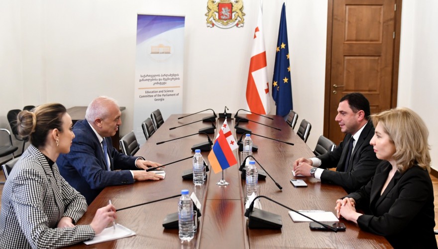 Meeting of Giorgi Amilakhvari with Ambassador of Armenia