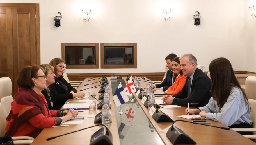 გიორგი ხელაშვილი და ნინო იობაშვილი ფინეთის საგარეო საქმეთა მინისტრის მოადგილეს შეხვდნენ