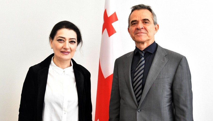 თამარ ჩარკვიანი ბულგარეთის ელჩს საქართველოში, ვესელინ ვალკანოვს შეხვდა