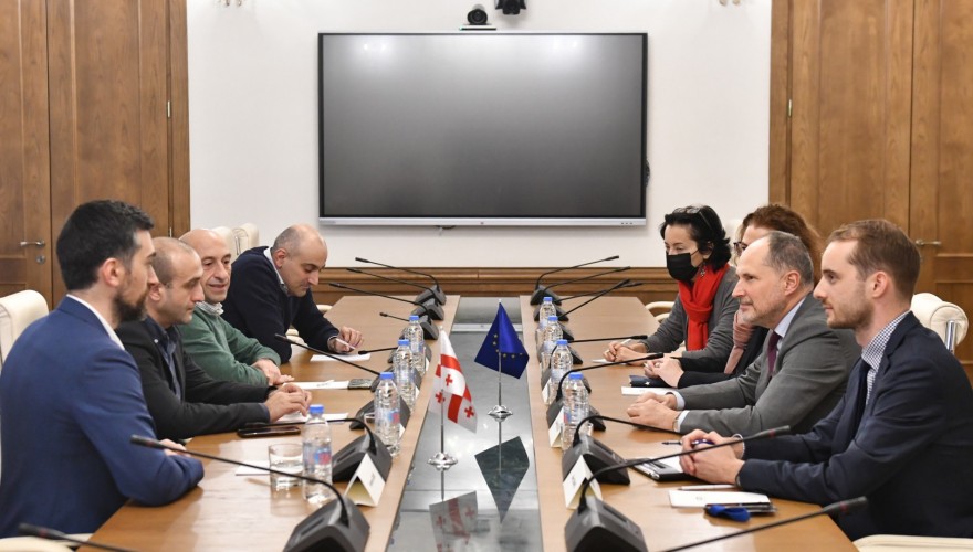 პარლამენტის პოლიტიკური ჯგუფების წარმომადგენლები საქართველოში ევროკავშირის მისიის ხელმძღვანელს შეხვდნენ