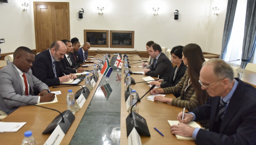 Meeting of Nikoloz Samkharadze with the Deputy Minister of International Relations and Cooperation of South Africa