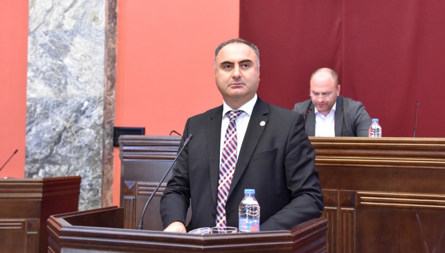 Defense and Security Committee Approving Number of Defense Forces to Plenary Session