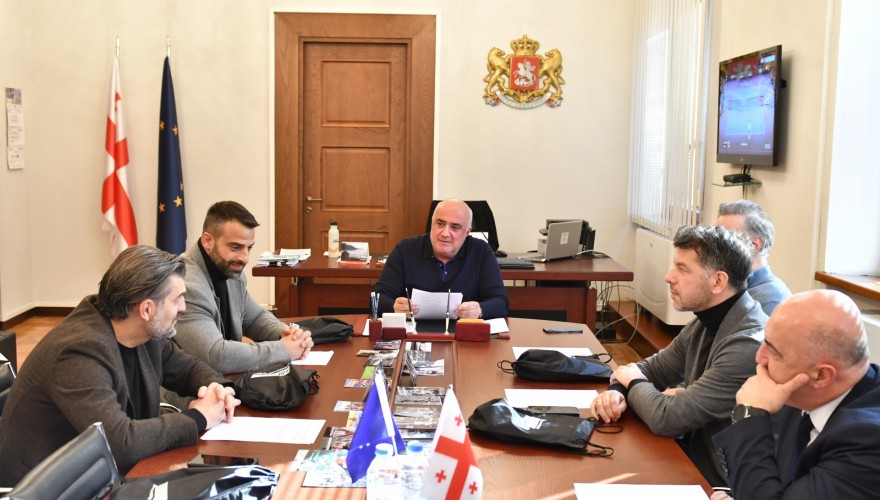 Election of David Katcharava as Deputy Chair of Sports and Youth Issues Committee