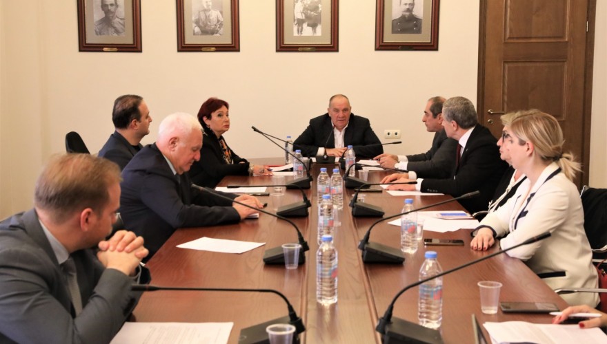 Diaspora and Caucasus Issues Committee Discussing Ongoing Projects within the Format of Amilakhvari Dialogue