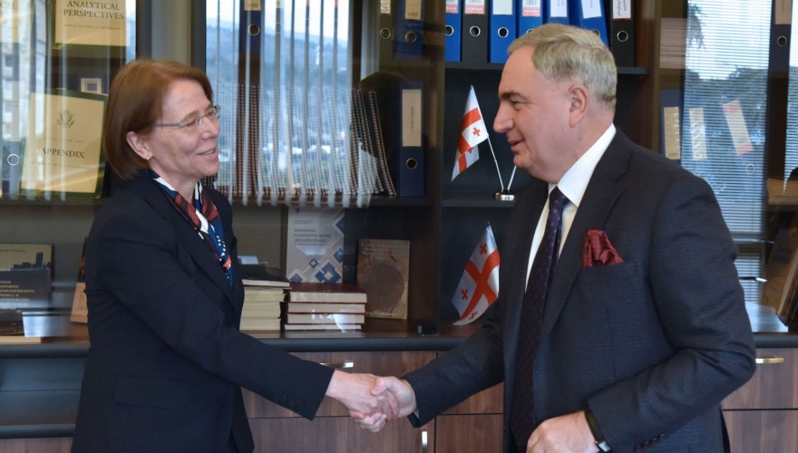 ირაკლი კოვზანაძე ნიდერლანდების სამეფოს ელჩს შეხვდა
